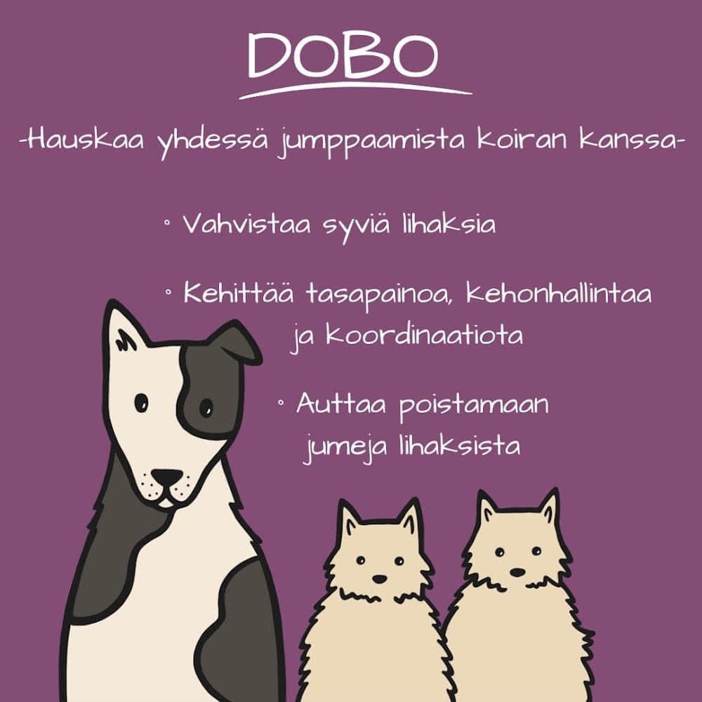 Dobo-infopaketti